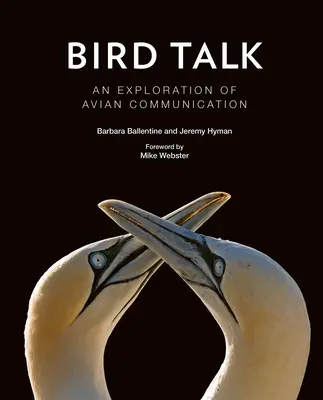Il linguaggio degli uccelli: Un'esplorazione della comunicazione aviaria - Bird Talk: An Exploration of Avian Communication