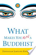 Cosa non fa di te un buddista - What Makes You Not a Buddhist