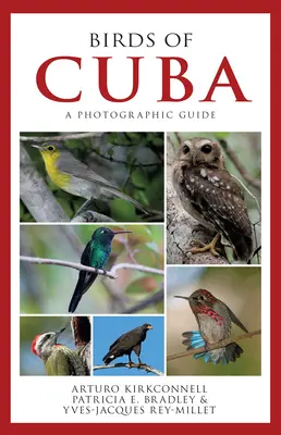Uccelli di Cuba: Una guida fotografica - Birds of Cuba: A Photographic Guide