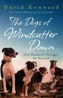 I cani di Windcutter Down - Dogs of Windcutter Down
