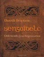 Sengoidelc: Irlandese antico per principianti - Sengoidelc: Old Irish for Beginners
