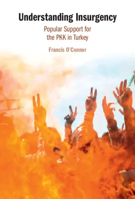 Capire l'insurrezione - Understanding Insurgency