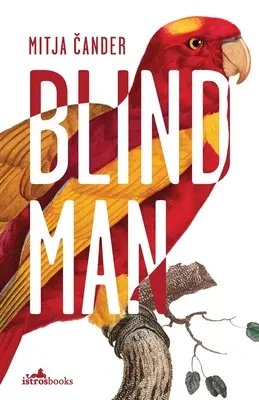 Uomo cieco - Blind Man
