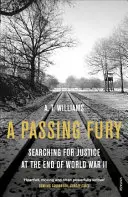 Una furia passeggera: Alla ricerca della giustizia alla fine della Seconda guerra mondiale - A Passing Fury: Searching for Justice at the End of World War II