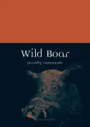 Cinghiale - Wild Boar