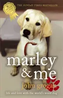 Io e Marley - Marley & Me
