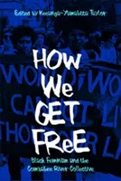 Come ci liberiamo: il femminismo nero e il Collettivo del fiume Combahee - How We Get Free: Black Feminism and the Combahee River Collective