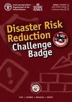 Distintivo della sfida per la riduzione del rischio di disastri - Disaster Risk Reduction Challenge Badge