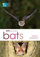I pipistrelli della Rspb - Rspb Spotlight Bats