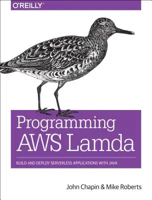 Programmare Aws Lambda: Costruire e distribuire applicazioni serverless con Java - Programming Aws Lambda: Build and Deploy Serverless Applications with Java