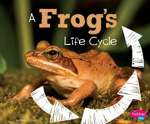 Il ciclo di vita di una rana - A Frog's Life Cycle