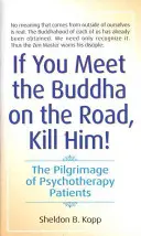 Se incontri il Buddha per strada, uccidilo: Il pellegrinaggio dei pazienti in psicoterapia - If You Meet the Buddha on the Road, Kill Him: The Pilgrimage of Psychotherapy Patients