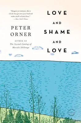 Amore, vergogna e amore - Love and Shame and Love