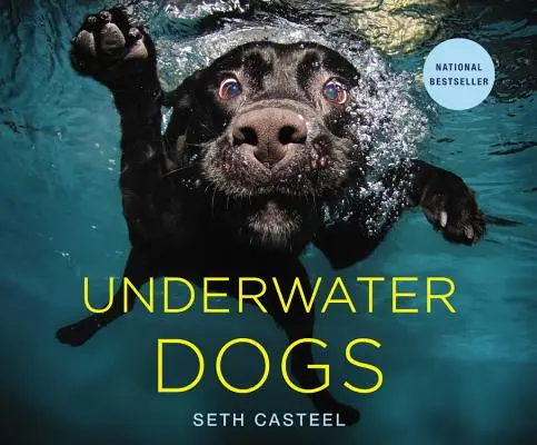 Cani subacquei - Underwater Dogs