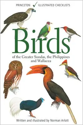 Uccelli delle Grandi Sonde, delle Filippine e della Wallacea - Birds of the Greater Sundas, the Philippines, and Wallacea