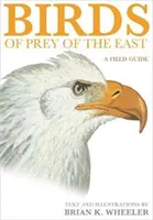 Uccelli rapaci d'Oriente: Una guida da campo - Birds of Prey of the East: A Field Guide