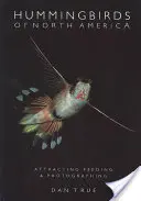 Colibrì del Nord America: Attrarre, nutrire e fotografare - Hummingbirds of North America: Attracting, Feeding, and Photographing