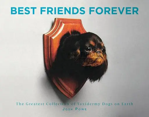 Migliori amici per sempre: La più grande collezione di cani tassidermici della Terra - Best Friends Forever: The Greatest Collection of Taxidermy Dogs on Earth