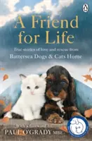 Amico per la vita - Friend for Life