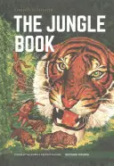 Il libro della giungla - Jungle Book