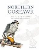 Astore settentrionale, il fantasma grigio: abitudini, habitat e riabilitazione - Northern Goshawk, the Gray Ghost: Habits, Habitat, and Rehabilitation