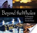 Oltre le balene - Le fotografie e le passioni di Alexandra Morton - Beyond the Whales - The Photographs and Passions of Alexandra Morton