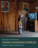 I mondi scomparsi della Cina: campagna, tradizioni e spazi culturali - China's Vanishing Worlds: Countryside, Traditions, and Cultural Spaces