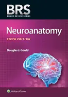 Neuroanatomia del Brs - Brs Neuroanatomy