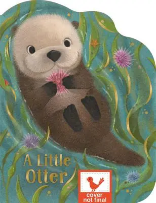 Una piccola lontra - A Little Otter
