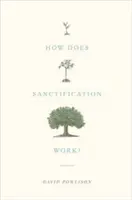 Come funziona la santificazione? - How Does Sanctification Work?