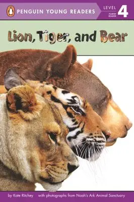 Leone, tigre e orso - Lion, Tiger, and Bear