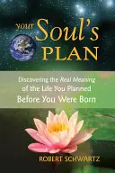 Il piano della tua anima: Scoprire il vero significato della vita che hai pianificato prima di nascere - Your Soul's Plan: Discovering the Real Meaning of the Life You Planned Before You Were Born