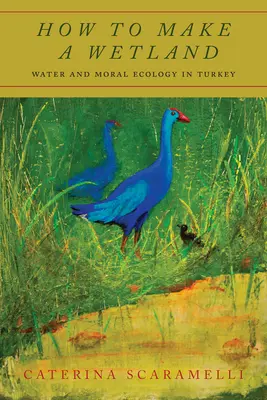 Come creare una zona umida: Acqua ed ecologia morale in Turchia - How to Make a Wetland: Water and Moral Ecology in Turkey