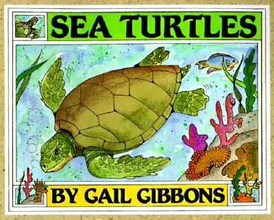 Tartarughe marine - Sea Turtles