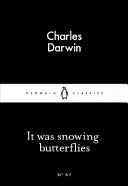 Nevicavano le farfalle - It Was Snowing Butterflies