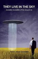 Vivono nel cielo: Gli invisibili e incredibili UFO intorno a noi - They Live in the Sky: Invisible Incredible UFOs Around Us