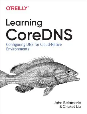 Imparare Coredns: Configurazione del DNS per gli ambienti cloud nativi - Learning Coredns: Configuring DNS for Cloud Native Environments