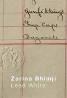 Zarina Bhimji: Piombo bianco - Zarina Bhimji: Lead White