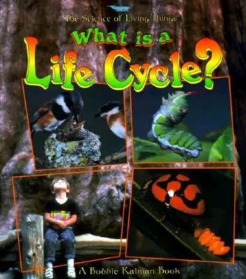 Cos'è il ciclo vitale? - What Is a Life Cycle?