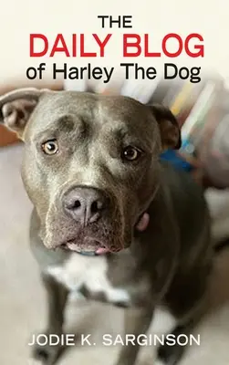 Il blog quotidiano di Harley il cane - The Daily Blog of Harley The Dog
