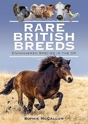 Rare razze britanniche: Specie in pericolo nel Regno Unito - Rare British Breeds: Endangered Species in the UK