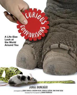 Confronti curiosi: Uno sguardo a grandezza naturale sul mondo che ci circonda - Curious Comparisons: A Life-Size Look at the World Around You