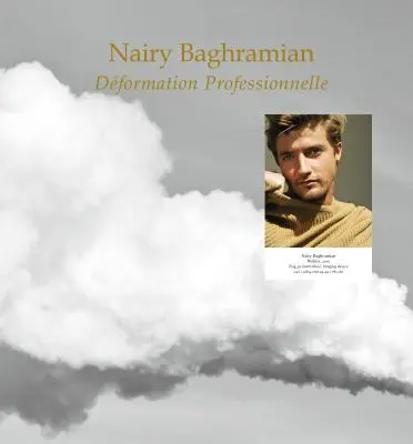 Nairy Baghramian: Deformazione professionale - Nairy Baghramian: Deformation Professionnelle