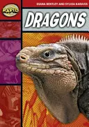Lettura rapida: Draghi (Fase 2, Livello 2B) - Rapid Reading: Dragons (Stage 2, Level 2B)