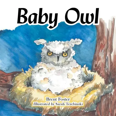 Il gufo bambino - Baby Owl