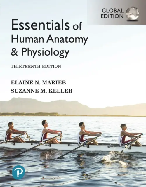 Elementi essenziali di anatomia e fisiologia umana [edizione globale]. - Essentials of Human Anatomy & Physiology [Global Edition]