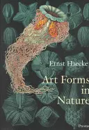 Forme d'arte in natura: Le stampe di Ernst Haeckel - Art Forms in Nature: The Prints of Ernst Haeckel