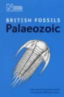 Fossili paleozoici britannici - British Palaeozoic Fossils