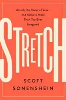 Stretch: Sblocca il potere del meno e ottieni più di quanto tu abbia mai immaginato - Stretch: Unlock the Power of Less -And Achieve More Than You Ever Imagined