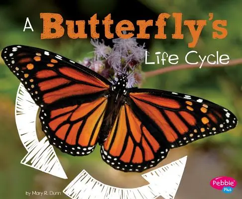 Il ciclo di vita di una farfalla - A Butterfly's Life Cycle